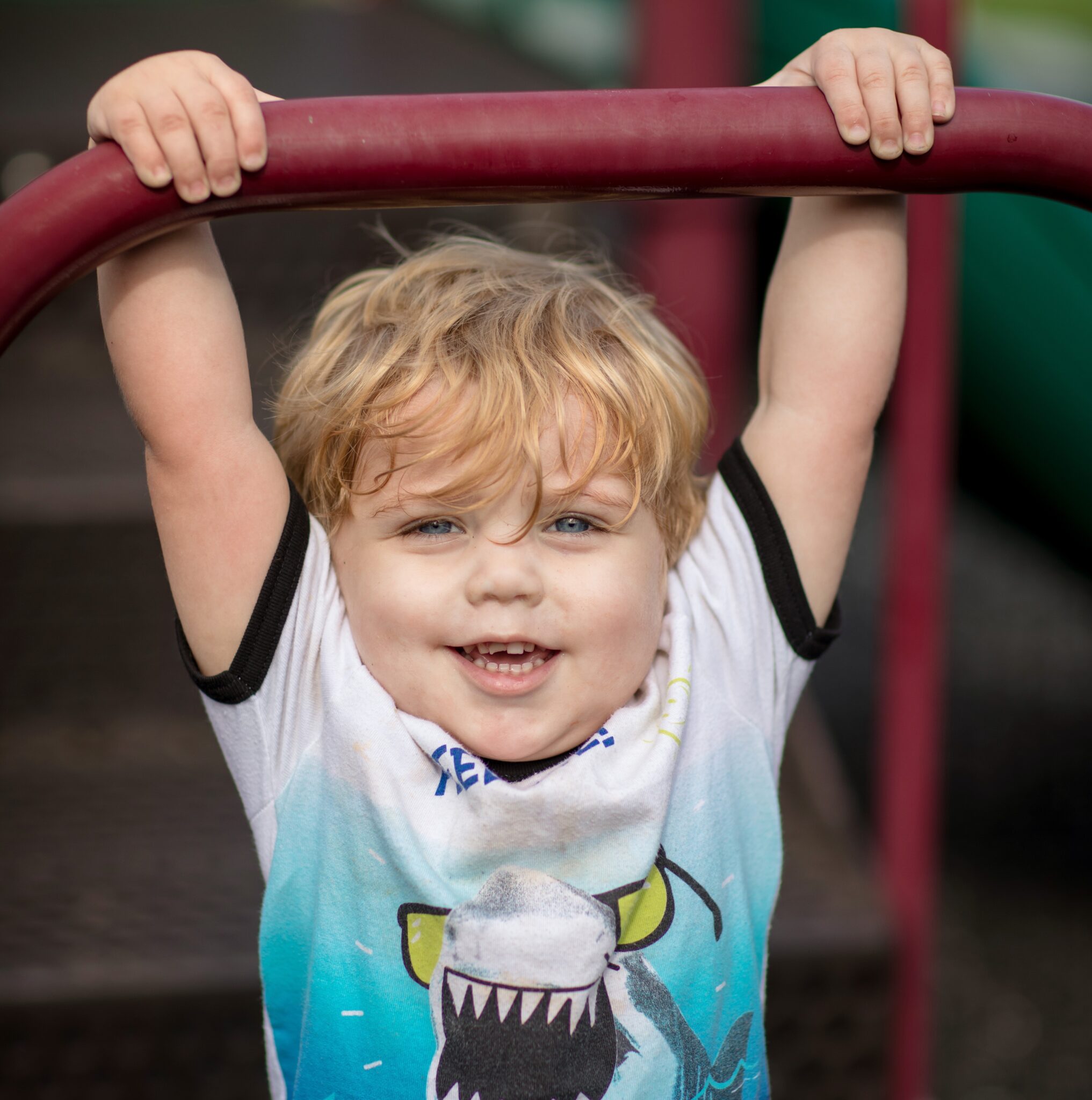 A little boy in a white and blue shirt hangs by his hands on park equipment